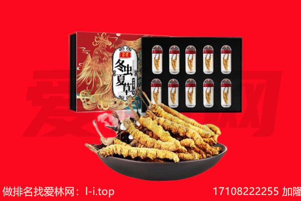 汕头市潮南回收虫草.jpg